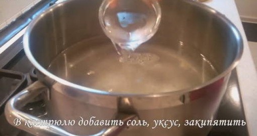 Баклажаны как грибы на зиму